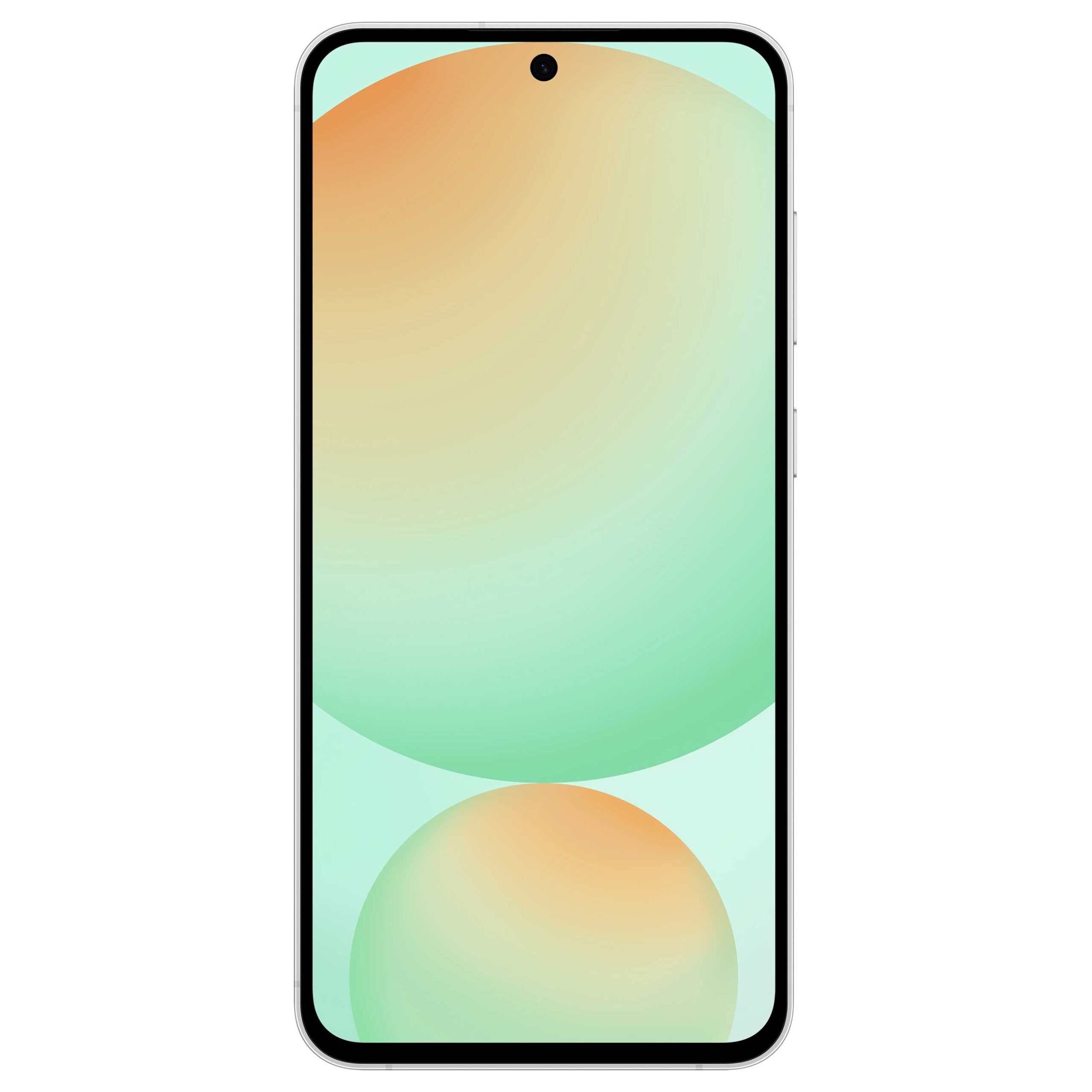 Samsung Galaxy S24 FENeuware -