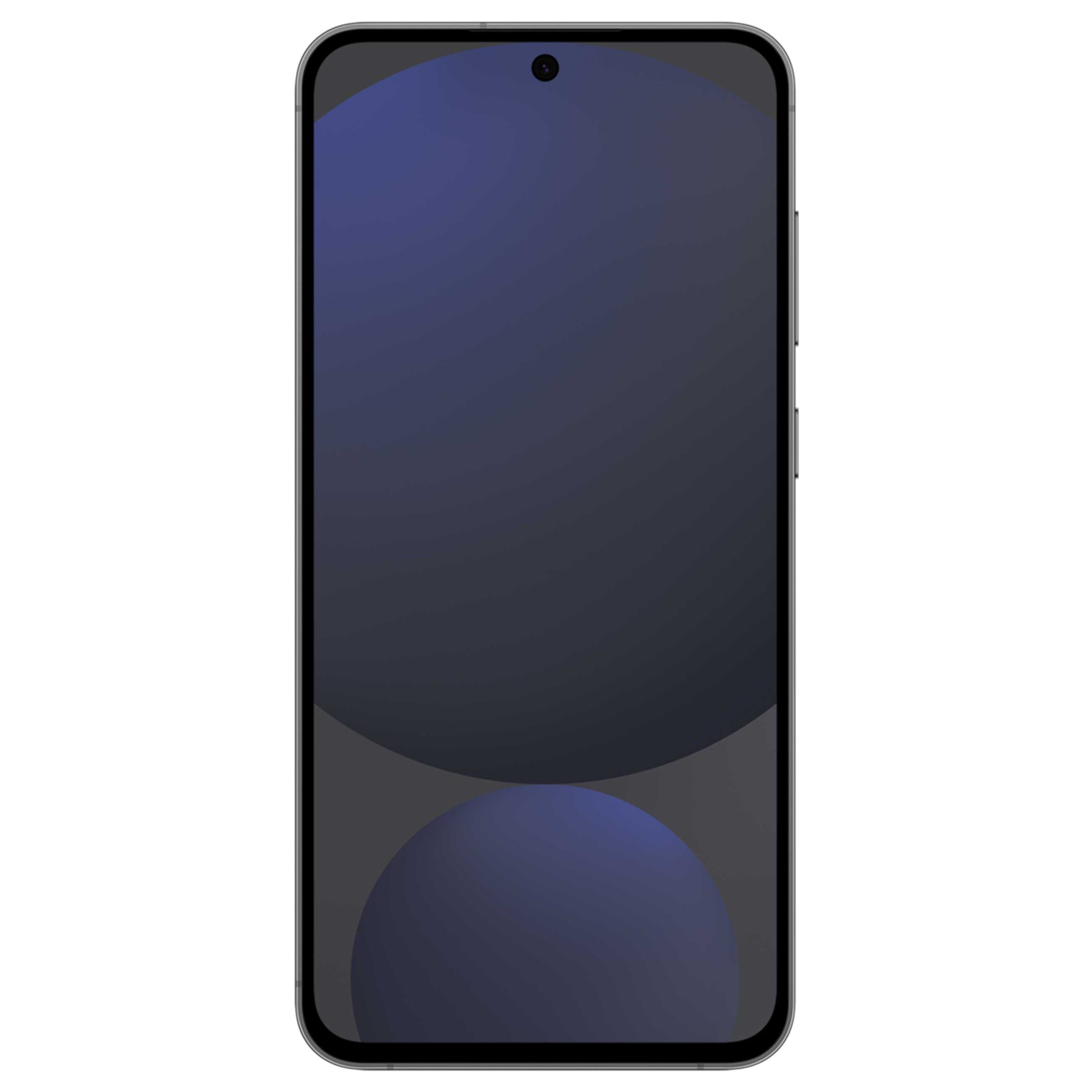 Samsung Galaxy S24 FENeuware -