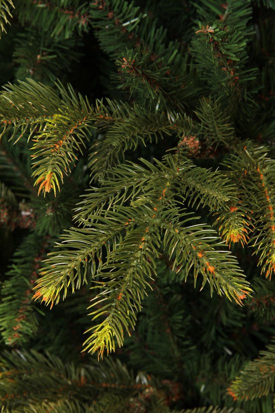 Black Box Trees Frasier Künstlicher Weihnachtsbaum - H185 x Ø124 cm - Grün