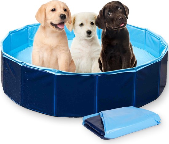 Frummel Dog Pool - Set-up Pet Pool - Blau - 80 x 20cm - faltbar