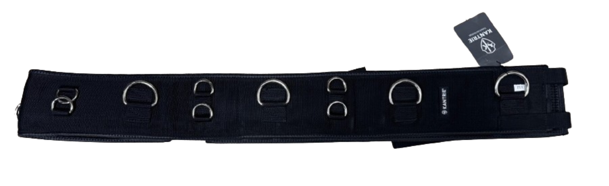 Longierring mit Ringen Schwarz