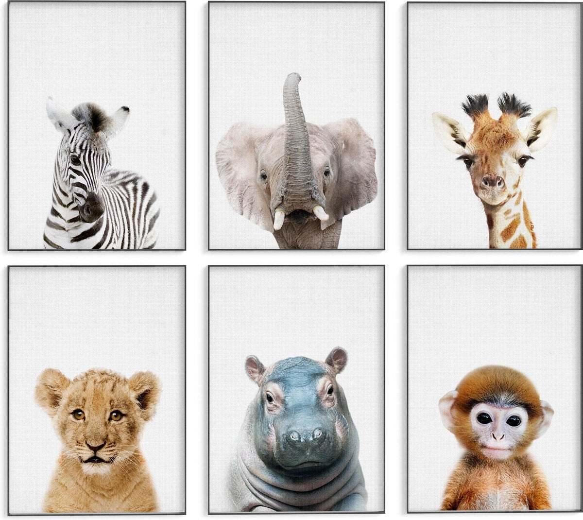 Generic - Tiere Poster - 6 Poster - 21x30 cm - Stabiles Papier - Safari